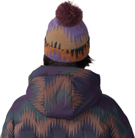 Mountain Hardwear Gas Station Beanie 3