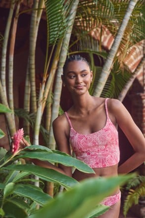 Location Image of color Peachy