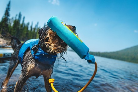 Ruffwear Lunker Toy 2