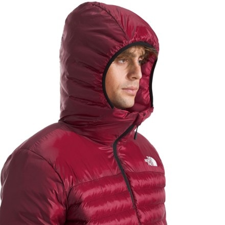 The North Face Terra Peak Insulated Hoodie - Men's 5