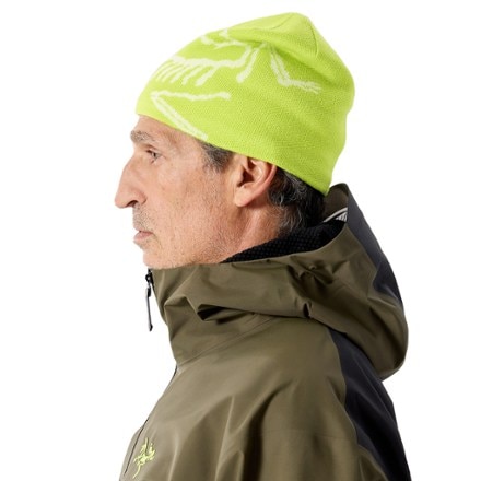 Arc'teryx Bird Head Toque Beanie 3