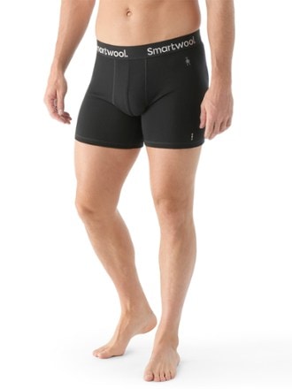 Smartwool Everyday Merino Boxer Briefs - Men's 1