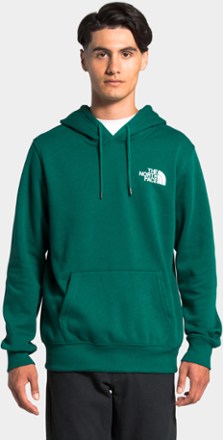 north face never stop exploring hoodie