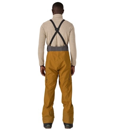 Patagonia SnowDrifter Bib Pants - Men's 2