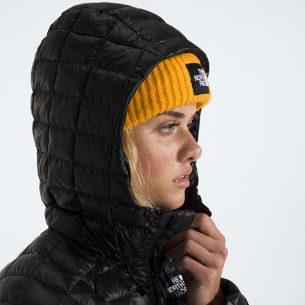The North Face ThermoBall Hooded Insulated Parka - Women's 4