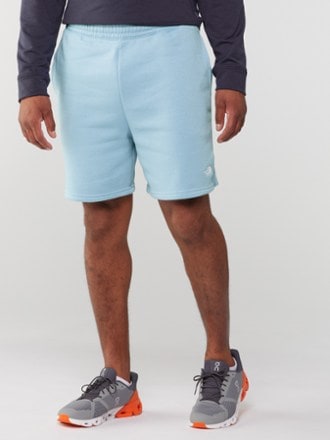 The North Face Evolution Shorts - Men's 1