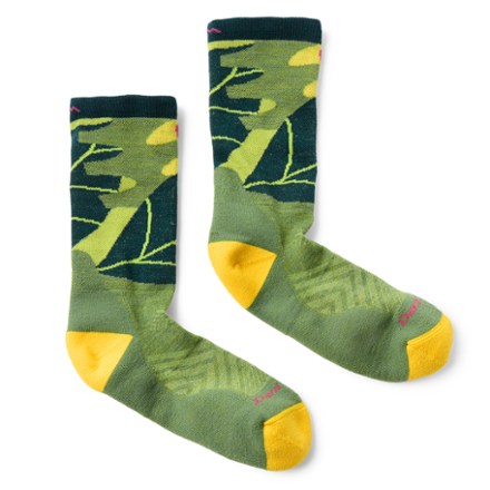 Darn Tough Run Wild Micro Crew Ultra-Lightweight Running Socks - Women's 1