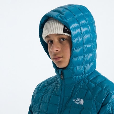 The North Face ThermoBall Hooded Jacket - Kids' 4
