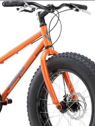 Diamondback El Oso Nino 20 Kids' Fat-Tire Mountain Bike 5