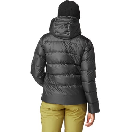 Picture Organic Clothing High Puff Down Jacket - Women's 2