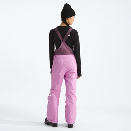 The North Face Freedom Insulated Bib Snow Pants - Women's 2