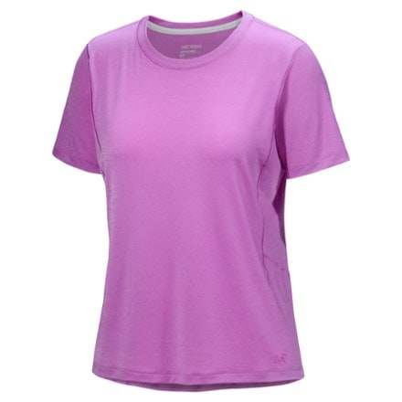 Arc'teryx Lana Merino Wool Crew Base Layer Top - Women's 0