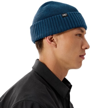 Arc'teryx Mallow Toque 3
