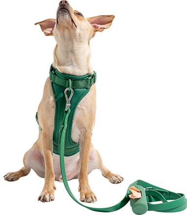 Wild One Waterproof Dog Leash Harness and poop bag carrier not included