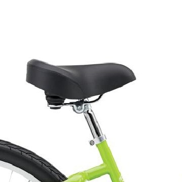 Schwinn median online green