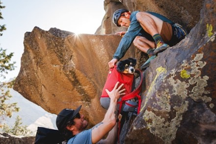 Ruffwear Hitch Hiker Dog Pack 4