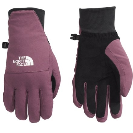 The North Face Shelbe Raschel Etip Gloves - Women's 0