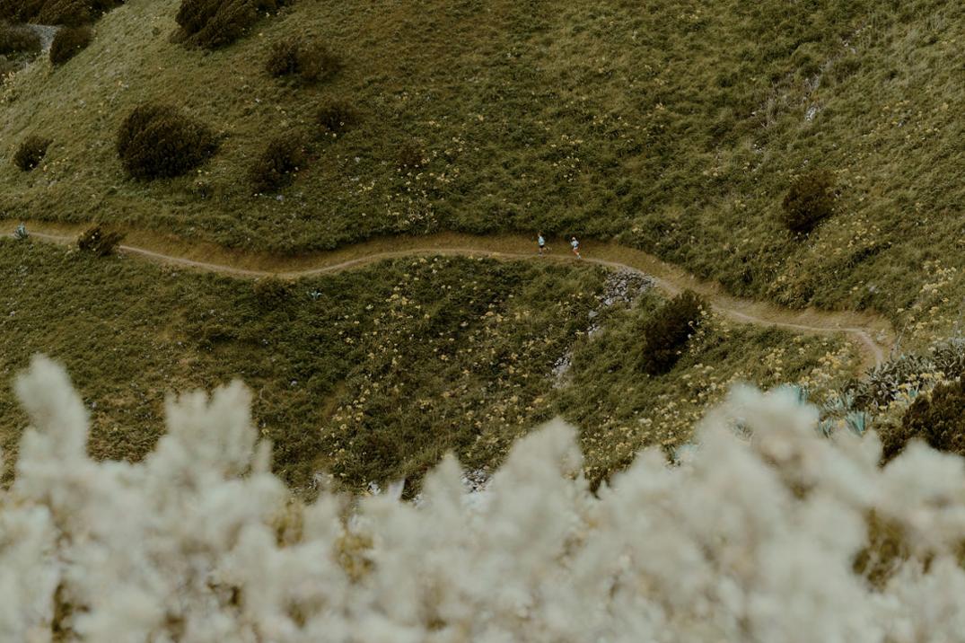 Location Image for Agility Peak 5 Trail-Running Shoes - Women's