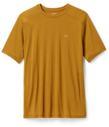 Arc'teryx Ionia Merino Wool Base Layer Top - Men's 0