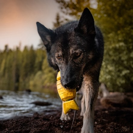 Bark Doggone Fishin' Super Chewer Dog Toy 5