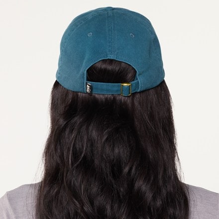 REI Co-op Everyday Graphic Cap 2
