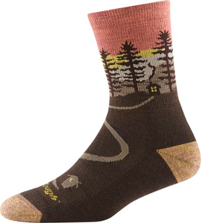 Darn Tough Northwoods Micro Crew Midweight Hiking Socks - Women's 2