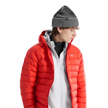 Arc'teryx Ribbed Toque 4