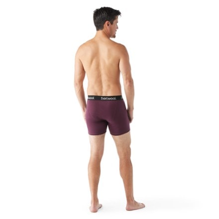 Smartwool Merino Boxer Briefs - Men's 2