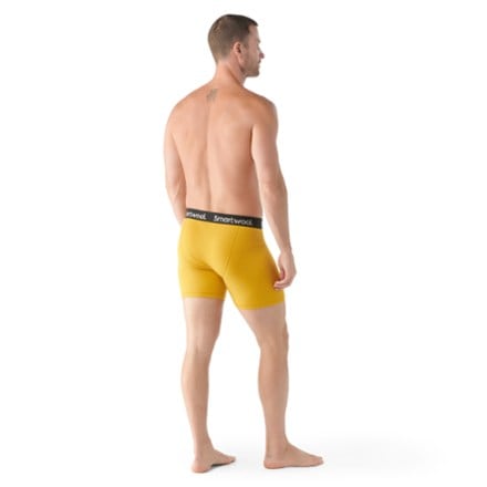 Smartwool Merino Boxer Briefs - Men's 3