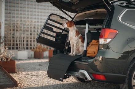 Thule Allax XS Dog Crate 10