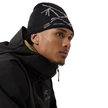 Arc'teryx Bird Head Toque Beanie 4