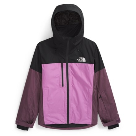 The North Face Dawnstrike GORE-TEX Insulated Jacket - Women's 0