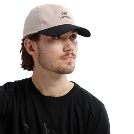 Arc'teryx Bird Word Cap 3