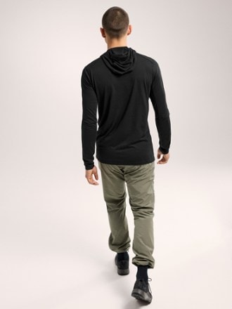 Arc'teryx Ionia Merino Wool Base Layer Hoodie - Men's 2