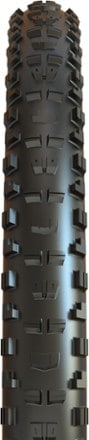 Maxxis Minion DHR II 3T/EXO+/TR Tire 1