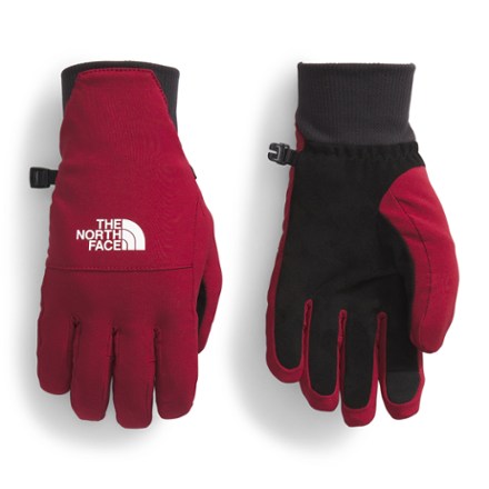 The North Face Shelbe Raschel Etip Gloves - Women's 0