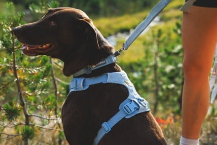 Ruffwear Front Range Flex Leash 7