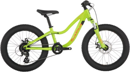 salsa timberjack 20 kids bike