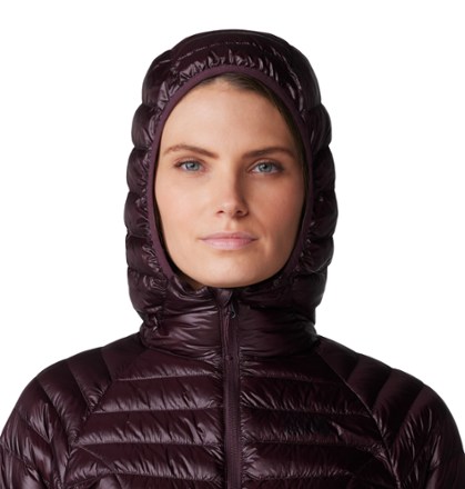 Mountain Hardwear Ghost Whisperer Down Parka - Women's 3