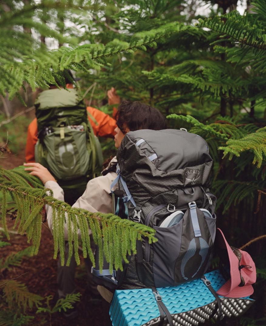 Location Image for Aura AG 65 Pack - Women's