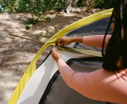 Location Image of color Desert Moss