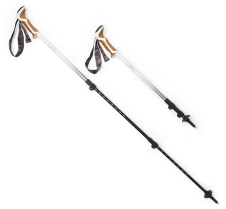 Walking store poles review