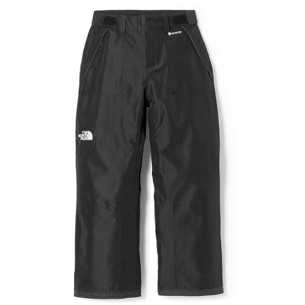 The North Face GTX Hex Snow Pants - Women's 0