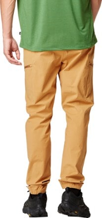 Picture Organic Clothing Alpho Pants - Men's 2