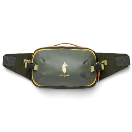 Cotopaxi fanny 2024 pack rei