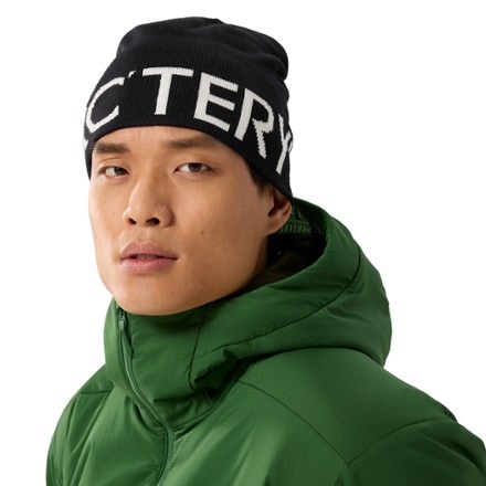 Arc'teryx Word Head Toque 4