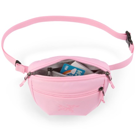 Arc'teryx Mantis 1 Waistpack 3