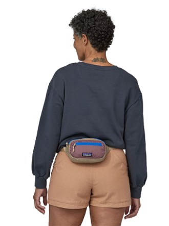 Patagonia fanny deals pack rei