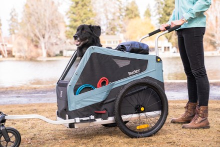 Rei dog bike trailer new arrivals