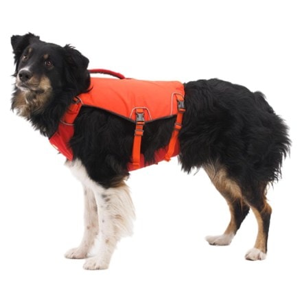 Ruffwear Confluence Life Jacket 4